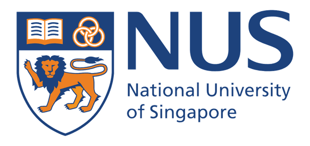Writers from National University of Singapore use Human Writes